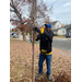 Man planting a tree