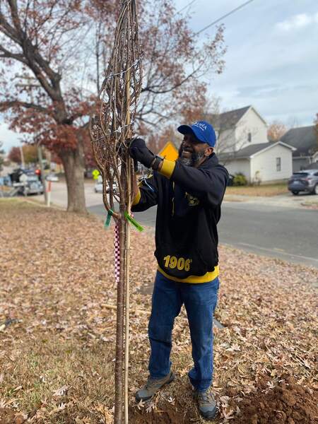 Man planting a tree