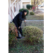  A woman pruning a bush with a set of pruning shears. 
